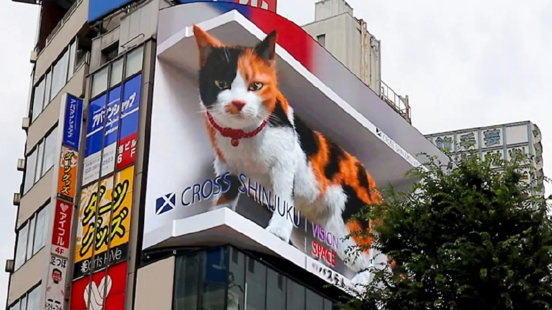 wakate_2022_01 wakate_2022_01